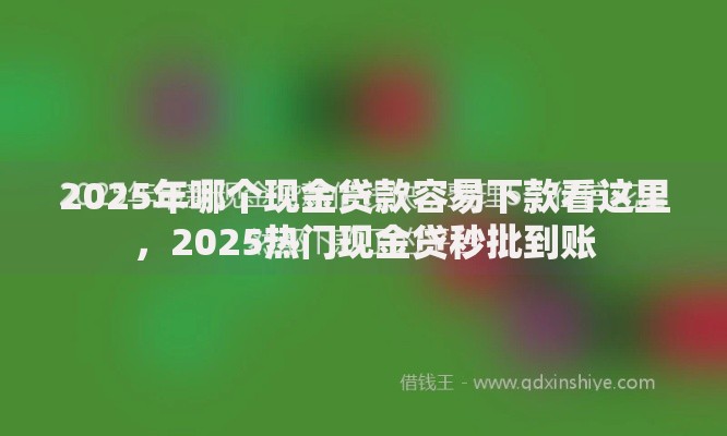 2025年哪个现金贷款容易下款看这里，2025热门现金贷秒批到账