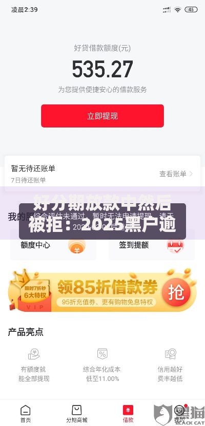 好分期放款中然后被拒：2025黑户逾期最新下款攻略