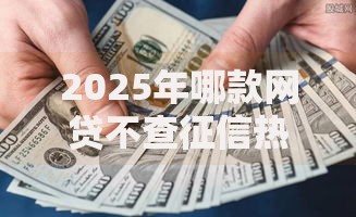 2025年哪款网贷不查征信热门平台排行推荐安全靠谱