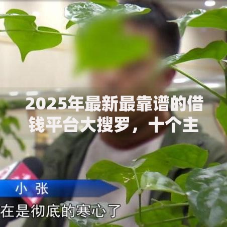 2025年最新最靠谱的借钱平台大搜罗,十个主流平台快速下款评测推荐 2025年最新最靠谱的借钱平台大搜罗,十个主流平台快速下款评测推荐
