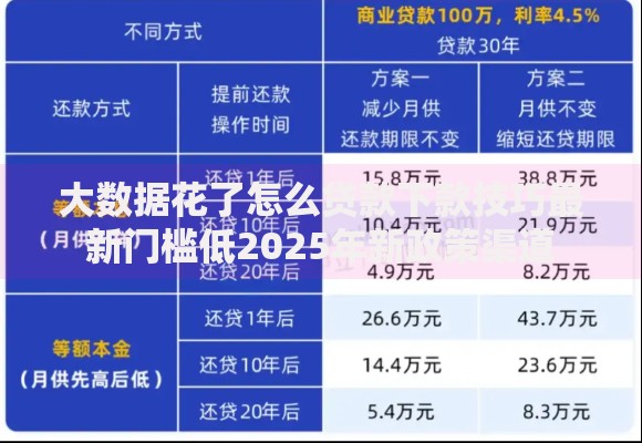 大数据花了怎么贷款下款技巧最新门槛低2025年新政策渠道