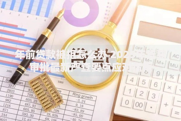年前贷款被拒怎么办 2025年贷款审批最新严查要点应对指南 年前贷款被拒怎么办 2025年贷款审批最新严查要点应对指南
