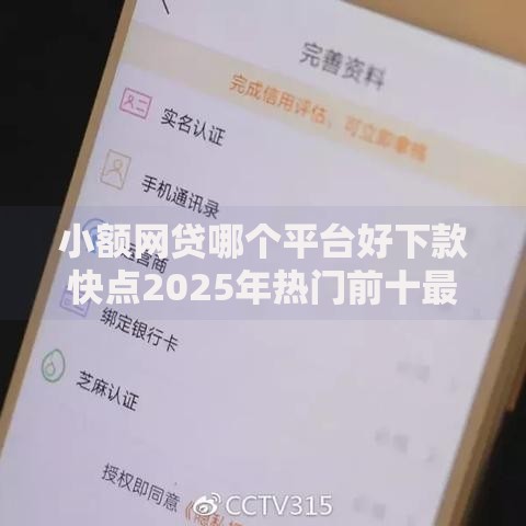 小额网贷哪个平台好下款快点2025年热门前十最新推荐 小额网贷哪个平台好下款快点2025年热门前十最新推荐