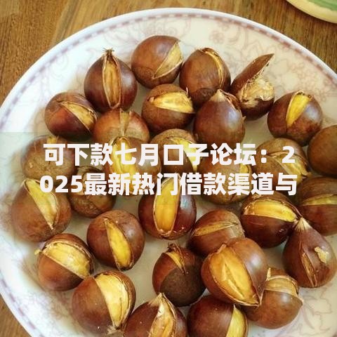 可下款七月口子论坛:2025最新热门借款渠道与用户热议专区 可下款七月口子论坛:2025最新热门借款渠道与用户热议专区