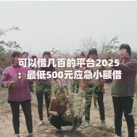 可以借几百的平台2025:最低500元应急小额借款新口子 可以借几百的平台2025:最低500元应急小额借款新口子