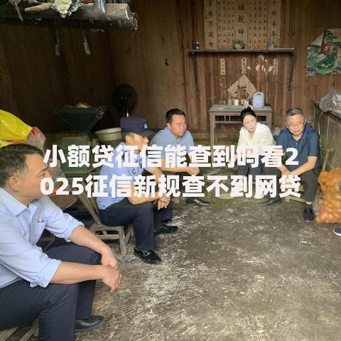 小额贷征信能查到吗看2025征信新规查不到网贷名单 小额贷征信能查到吗看2025征信新规查不到网贷名单