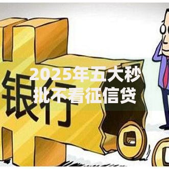 2025年五大秒批不看征信贷款软件最新热门产品大推荐 2025年五大秒批不看征信贷款软件最新热门产品大推荐