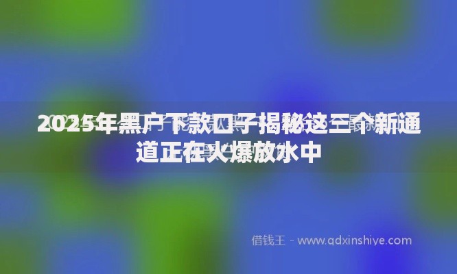 2025年黑户下款口子揭秘这三个新通道正在火爆放水中 2025年黑户下款口子揭秘这三个新通道正在火爆放水中