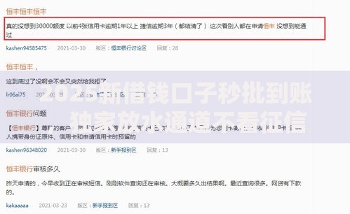 2025新借钱口子秒批到账，独家放水通道不看征信大数据
