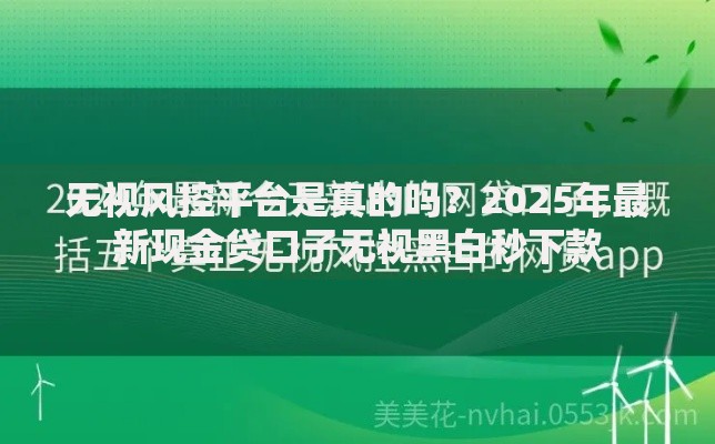 无视风控平台是真的吗?2025年最新现金贷口子无视黑白秒下款 无视风控平台是真的吗?2025年最新现金贷口子无视黑白秒下款