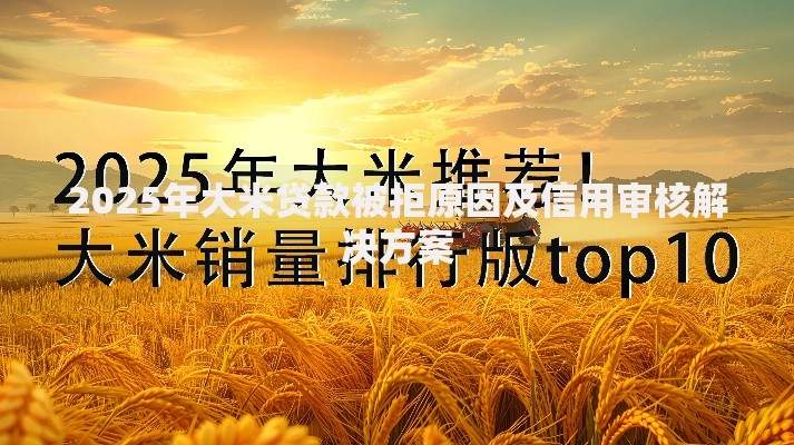 2025年大米贷款被拒原因及信用审核解决方案 2025年大米贷款被拒原因及信用审核解决方案