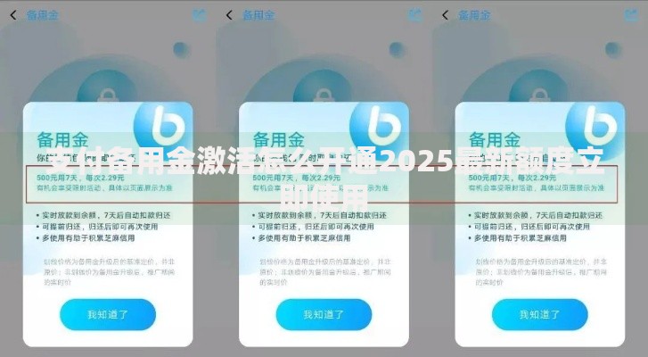 支付备用金激活怎么开通2025最新额度立即使用