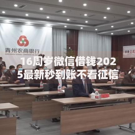 16周岁微信借钱2025最新秒到账不看征信下款快无需担保