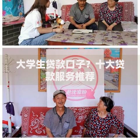 大学生贷款口子？十大贷款服务推荐