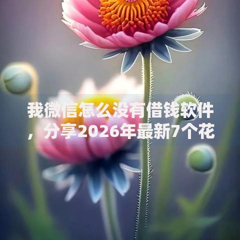 我微信怎么没有借钱软件，分享2026年最新7个花儿朵朵贷款平台官网