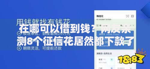 在哪可以借到钱？网友亲测8个征信花居然都下款了的口子盘点