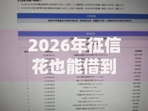 2026年征信花也能借到的网贷？盘点十大靠谱征信花居然都下款了的软件