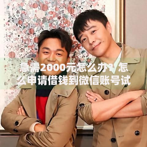 急需2000元怎么办?怎么申请借钱到微信账号试试这6个无门槛平台 急需2000元怎么办?怎么申请借钱到微信账号试试这6个无门槛平台