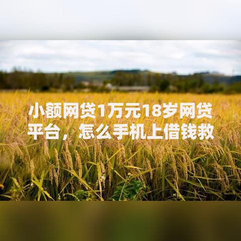 小额网贷1万元18岁网贷平台,怎么手机上借钱救急的7个平台介绍 小额网贷1万元18岁网贷平台,怎么手机上借钱救急的7个平台介绍