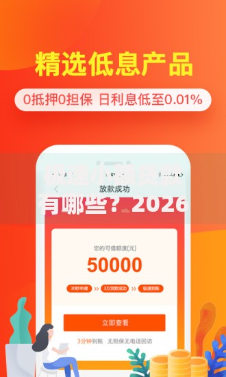 极速小额贷款有哪些？2026最新测评10个贷款都有借款平台