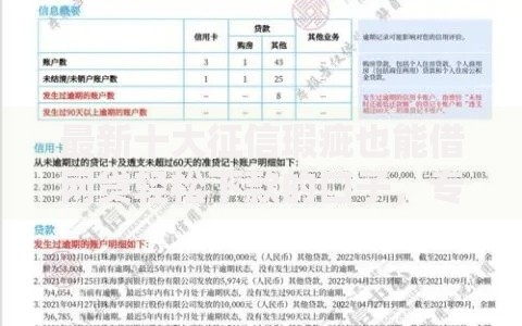 最新十大征信瑕疵也能借网贷轻松下款的口子，专治无视征信的小额贷款
