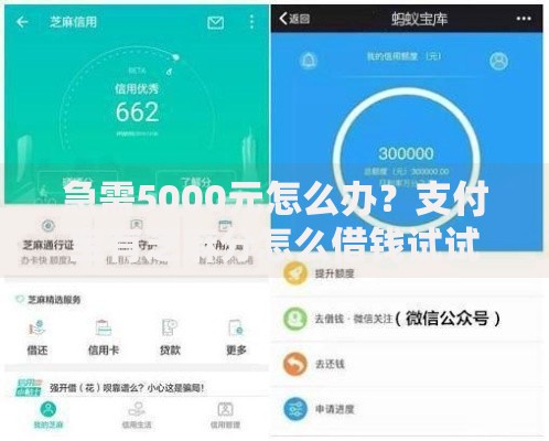 急需5000元怎么办?支付宝有芝麻分怎么借钱试试这7个无门槛平台 急需5000元怎么办?支付宝有芝麻分怎么借钱试试这7个无门槛平台