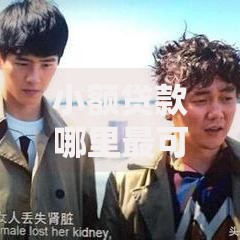 小额贷款哪里最可靠有哪些？10个貌似免审批、黑户当天可以借到二万的平台合集