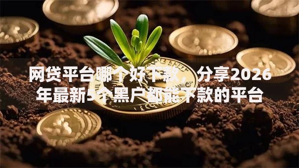 网贷平台哪个好下款，分享2026年最新5个黑户都能下款的平台