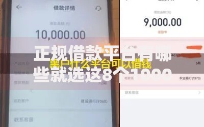 正规借款平台有哪些就选这8个10000元被执行人黑户可以申请网贷的平台