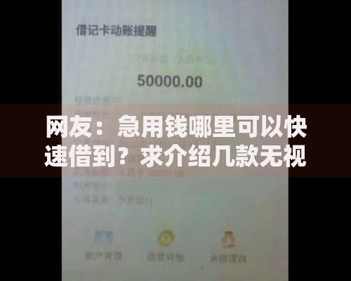 网友：急用钱哪里可以快速借到？求介绍几款无视黑白户口子