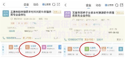 2026年不看征信的贷款平台，超热门的10个现在什么网贷平台最容易通过推荐